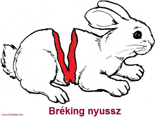 Bréking nyussz