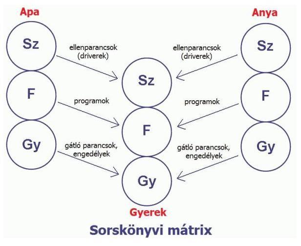 Sorskönyvi mátrix