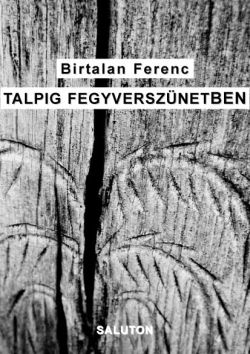 Birtalan Ferenc: Talpig fegyverszünetben